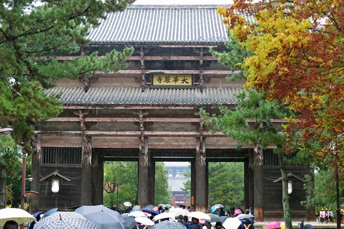 Nara World Heritage PRIVATE TOUR - Price and Value: Paying for Time, Tickets, and a Real Plan