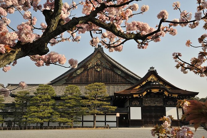Nijo Castle Samurai Inside Story — Top-Rated Guide (Max 8) - The Mid-Tour Tea Break That Keeps It Pleasant