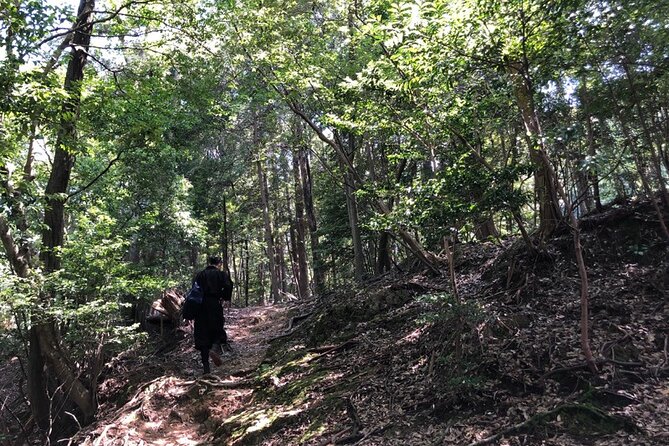 Ninja Trekking half-day tour at Mt.Daimonji Kyoto - Price and value: what $347.48 covers, and what it does not