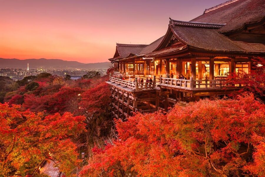 One Day Private Customized Self-Guided Tour in Kyoto - Quick hits you should know