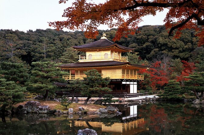 One-Day Tour of Kyoto's Highlights from Osaka/Kyoto - Meeting points and timing: where you need to be