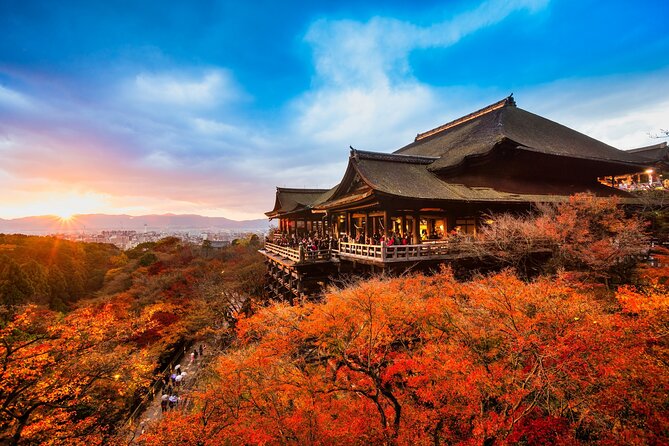 One-Day Tour of Kyoto's Highlights from Osaka/Kyoto - Stop 4: Arashiyama Bamboo Forest and Togetsukyo bridge time