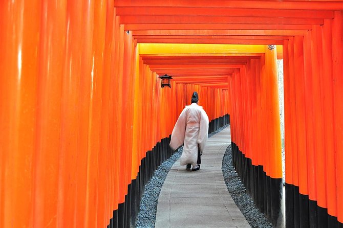 One-Day Tour of Kyoto's Highlights from Osaka/Kyoto - Price and value: what $66.32 buys you