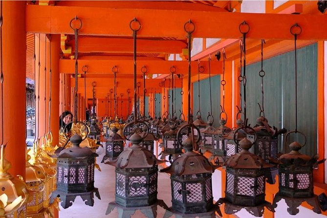 One-Day Walking Tour of Amazing 8th Century Capital Nara - Price and value: what you are really paying for
