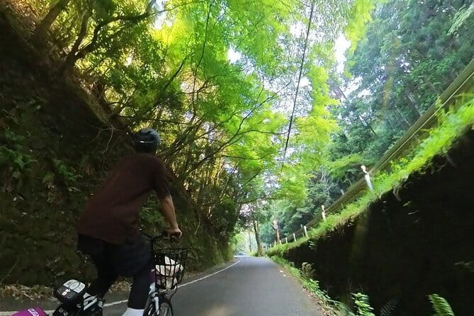 ONLY YOU in the Bamboo Forest! 4 hours E-bike tour with a local - Finding your way: meeting at Arashiyama Station and getting rolling fast
