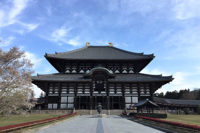 Osaka and Nara Day Tour with Private Transportation - The real value of private transport between Kyoto and Kansai