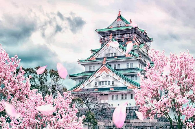Osaka and Nara Day Tour with Private Transportation - Dotonbori Tsuribori and Namba Yasaka Shrine: neon finish plus a photo payoff