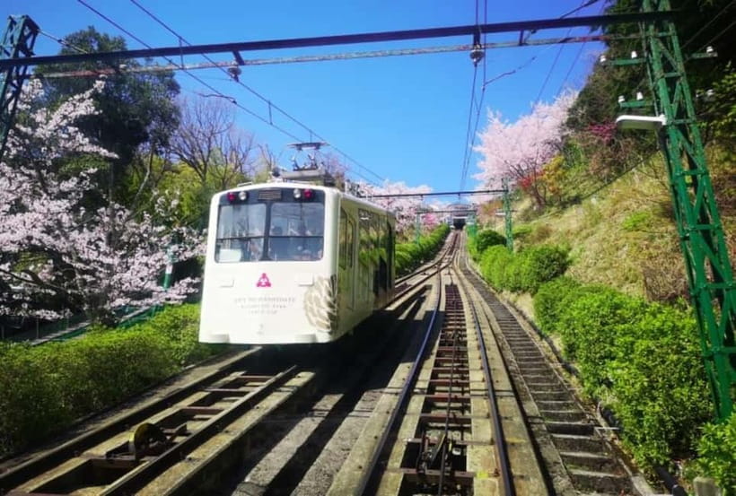Osaka/Kyoto: Amanohashidate & Miyama Tour with Boat & Lunch - Lunch in Amanohashidate: a set meal that actually fills you up