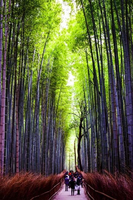 Osaka: Kyoto and Nara Private Day Trip - How this Osaka to Nara and Kyoto private day runs in 10 hours