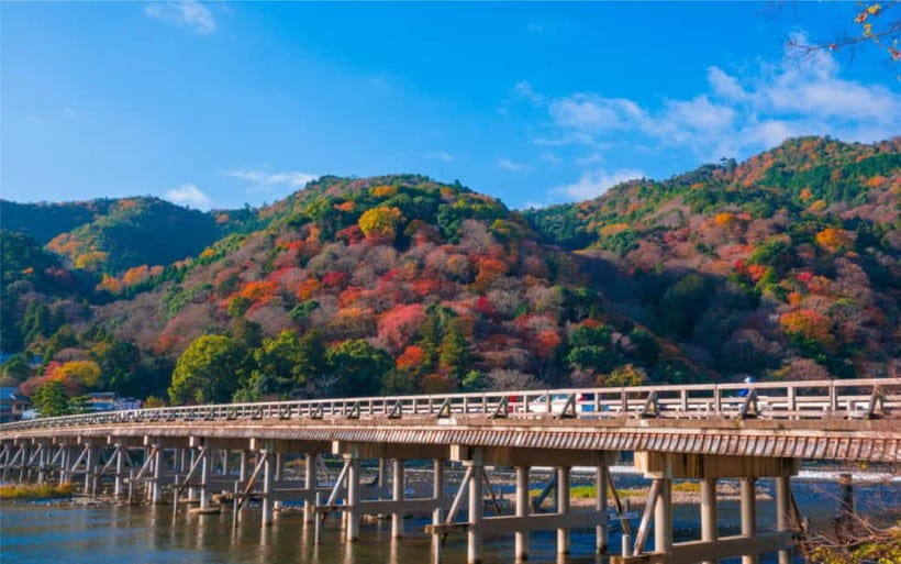 Osaka: Kyoto and Nara Private Day Trip - Price and value for a group up to 6