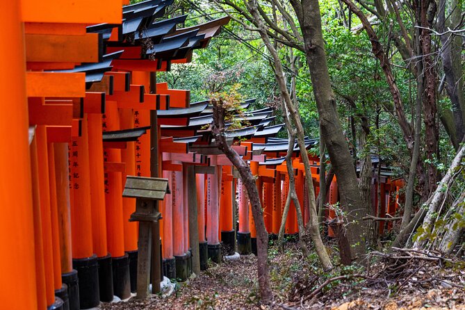 Osaka/Kyoto: Arashiyama, Fushimi Inari & Nara Park Day Trip - Arashiyama’s bamboo walkway: your “Kyoto postcard” hour