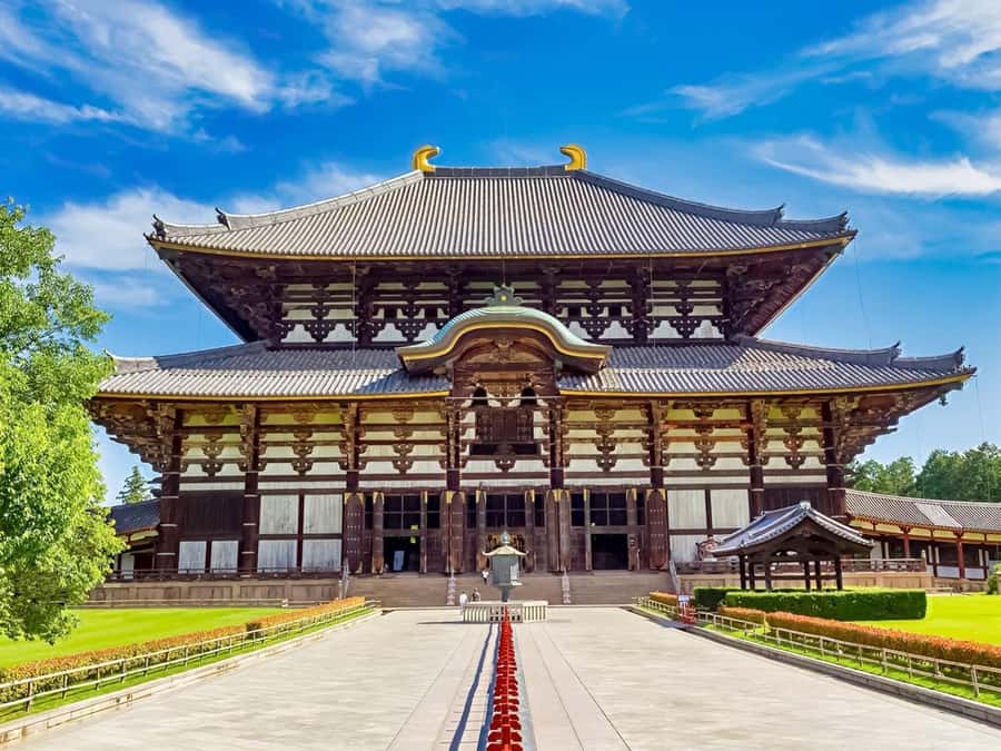 Osaka/Kyoto: Arashiyama, Nara & Fushimi Inari Shrine w/Lunch - Nara Park and Todai-ji area: deer encounters with real rules