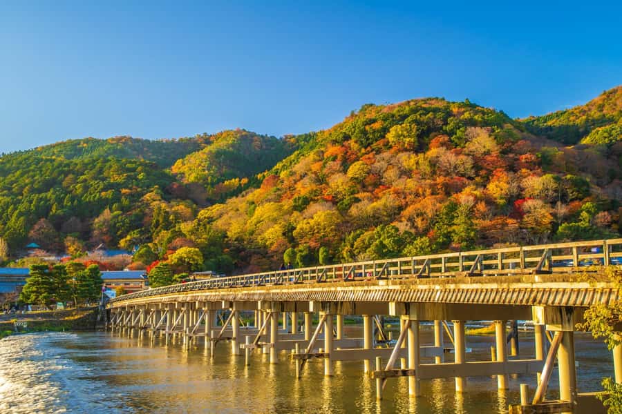 Osaka/Kyoto: Arashiyama, Nara & Fushimi Inari Shrine w/Lunch - Who should book this tour, and who should skip it