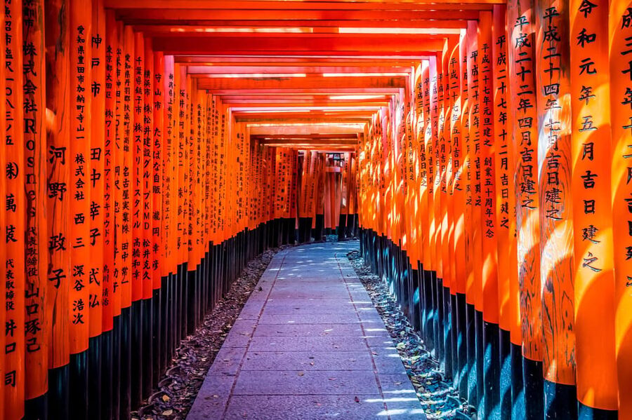 Osaka/Kyoto: Arashiyama, Nara Park, Fushimi Shrine Tour - Your day on a schedule: how the flow is set up