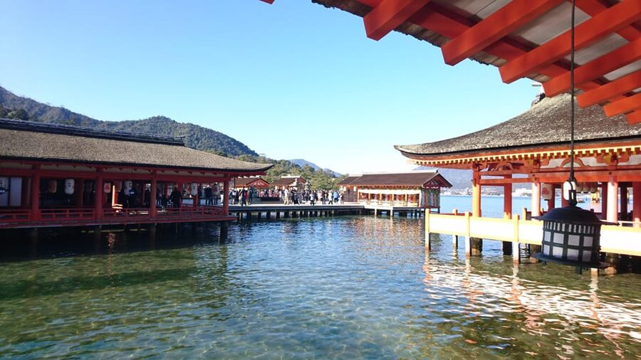 Osaka/Kyoto: Hiroshima Miyajima Bus Tour & Shinkansen Ticket - Atomic Bomb Dome and Peace Memorial Park, What to Expect and How to Handle It