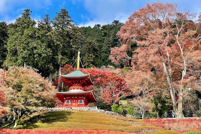 Osaka / Kyoto: Katsuoji, Arashiyama & Kinkaku-ji One Day Tour - Tenryu-ji and Togetsukyo Bridge: UNESCO calm, then classic views