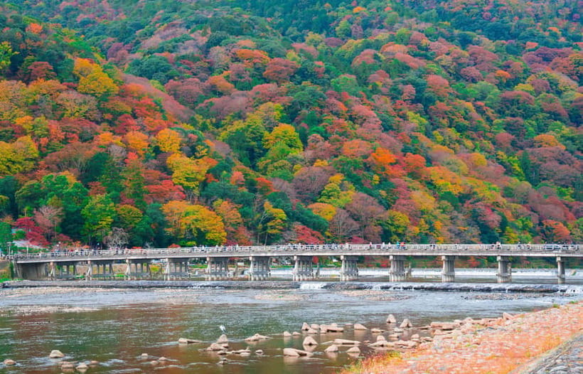 Osaka/Kyoto: Katsuoji, Kinkakuji, Arashiyama 1-Day Bus Tour - Transport, Timing, and Group-Day Realities