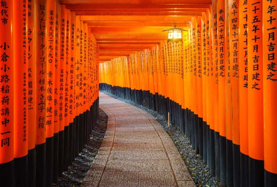Osaka/Kyoto:Kinkakuji,Arashiyama,FushimiInariShrine,NaraPark - The big picture: what this route gives you in one day