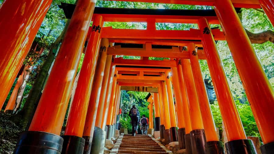 Osaka/Kyoto:Kinkakuji,Arashiyama,FushimiInariShrine,NaraPark - Nara Park and Todai-ji: deer magic plus a massive wooden giant