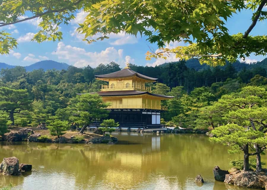 Osaka/Kyoto:Kinkakuji,Arashiyama,FushimiInariShrine,NaraPark - What the guides really do for you (and who you might get)