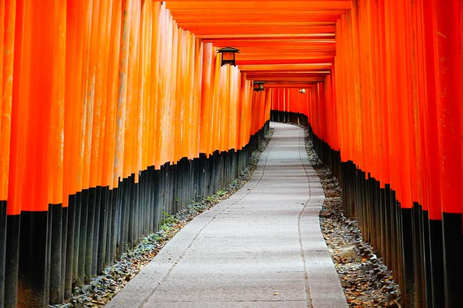 Osaka/Kyoto:Kinkakuji,Arashiyama,FushimiInariShrine,NaraPark - Meeting up, staying on schedule, and why it matters
