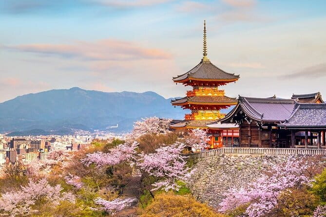 Osaka & Kyoto & Nara Top Hightlights English Speaking Tour - Key highlights worth packing for