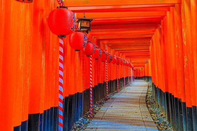 Osaka & Kyoto & Nara Top Hightlights English Speaking Tour - A fast-paced Kyoto and Nara day that starts in Osaka