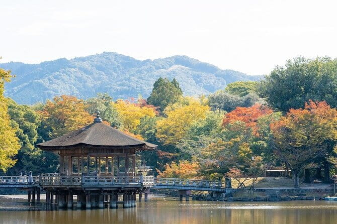 Osaka & Kyoto & Nara Top Hightlights English Speaking Tour - Shinsaibashi Osaka at the end, then you’re on your own