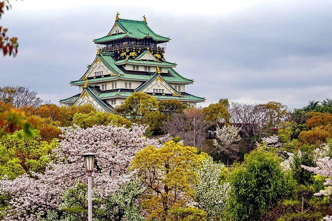 Osaka & Kyoto & Nara Top Hightlights English Speaking Tour - Price and value: what you’re paying for