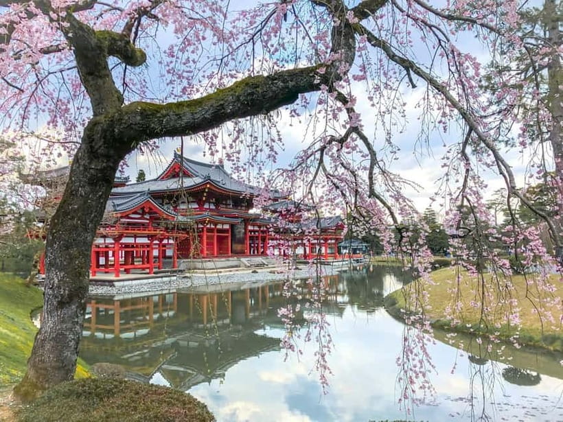 Osaka: Kyoto & Nara & Uji Historical and Scenic One-Day Tour - Key Things to Know Before You Go