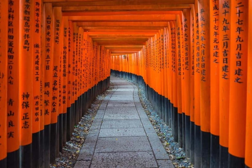 Osaka: Kyoto & Nara & Uji Historical and Scenic One-Day Tour - Nara Park and Tōdai-ji: Deer, Bronze, and Big Feelings