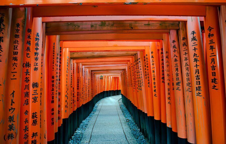 Osaka/Kyoto: Private Kyoto and Nara Day Trip - How customization works inside the 10-hour window