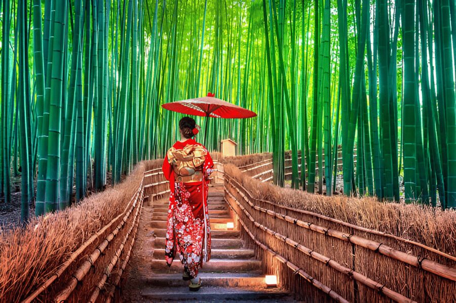 Osaka/Kyoto: Private Kyoto and Nara Day Trip - Starting with Fushimi Inari Taisha torii gates