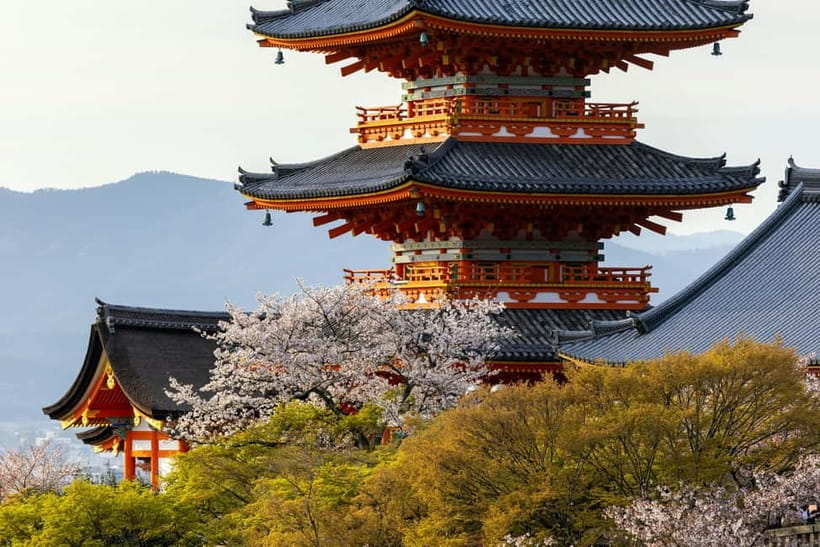 Osaka: Kyoto & Uji Historical Sites and Scenic Delights Tour - Why This 10-Hour Kyoto and Uji Route Works So Well