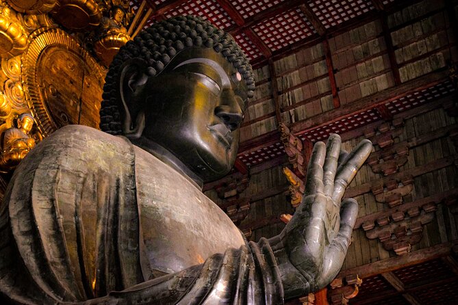 Osaka & Nara in 1-Day by Private Van with Local Expert Guide - Key highlights to know before you go
