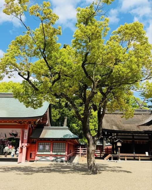 Osaka & Nara: Private Tour with English speaking guide - Shinsekai Lunch Break: Local Flavor Between Big Sights