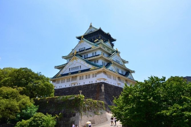 Osaka Private Tour by Public Transportation from Kyoto - Dotonbori District: canals, bridges, and the first hit of Osaka