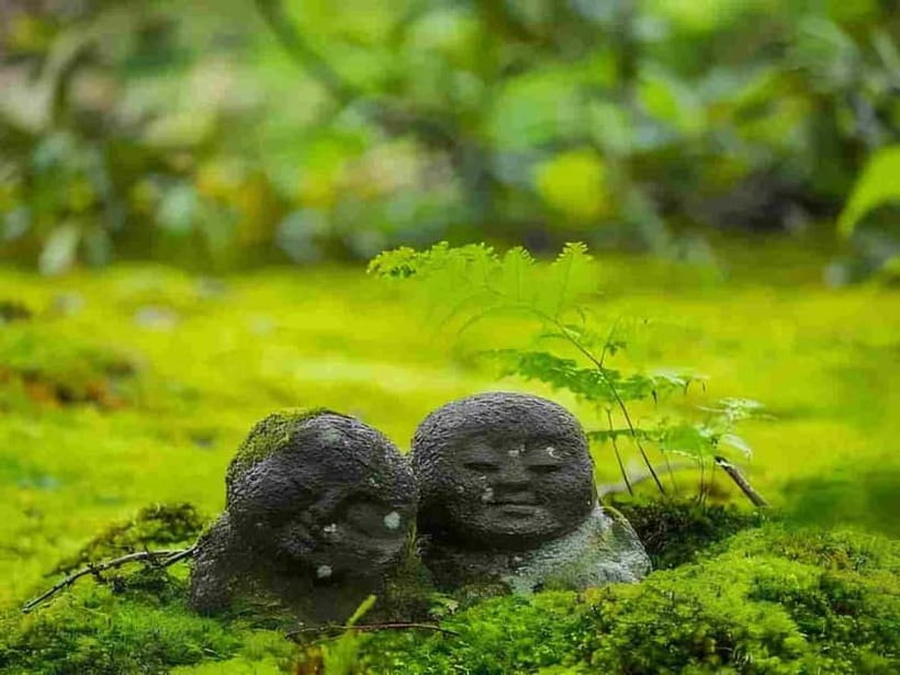 Osaka to Kyoto: Arashiyama Bamboo Grove Small Group Tour - Key Highlights That Make This Tour Worth It