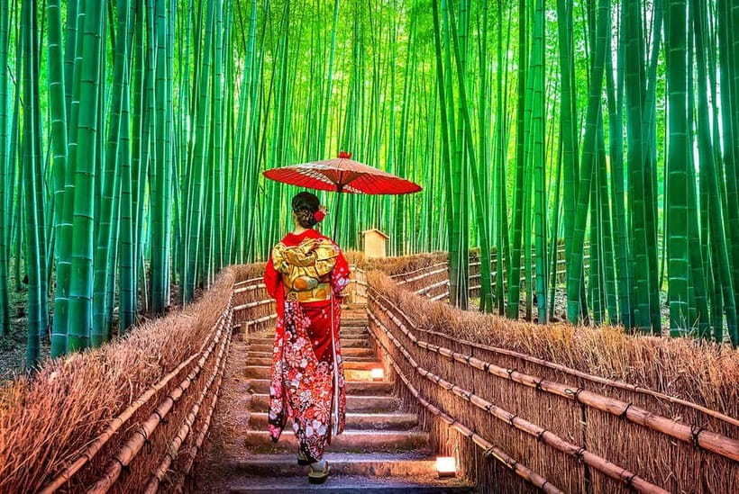 Osaka to Kyoto: Arashiyama Bamboo Grove Small Group Tour - Who Should Book This Osaka to Kyoto Day Tour?