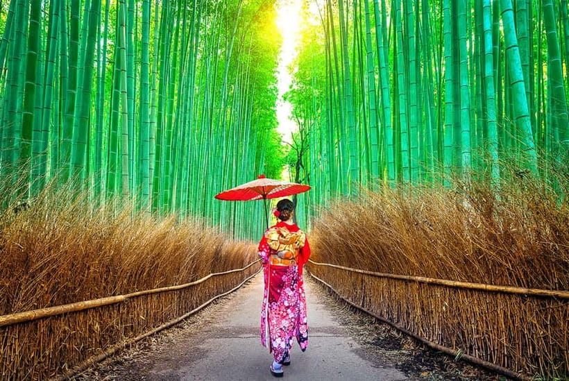 Osaka to Kyoto: Arashiyama Bamboo Grove Small Group Tour - From Osaka Namba to Kyoto: Pickup That Actually Saves Time