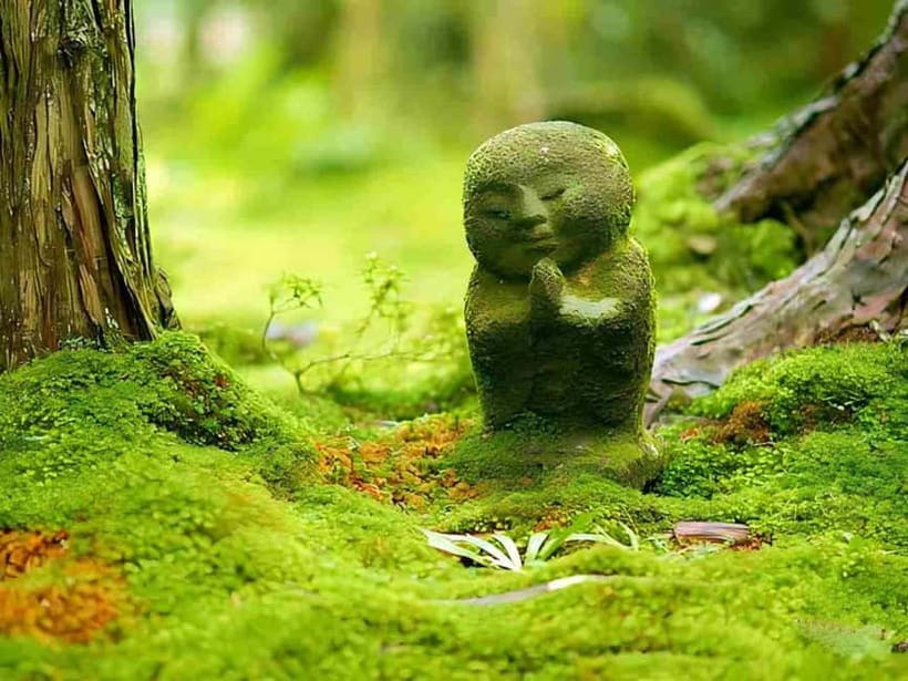 Osaka to Kyoto: Arashiyama Bamboo Grove Small Group Tour - Arashiyama Bamboo Grove: Sun-Dappled Calm in Limited Time