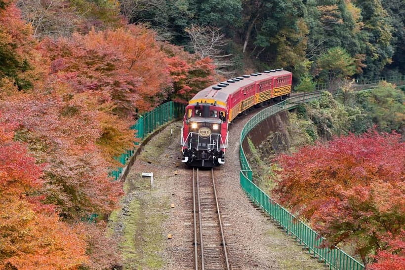 Osaka to Kyoto: Arashiyama Bamboo Grove Small Group Tour - Transport, Timing, and the Real Meaning of a 10-Hour Day