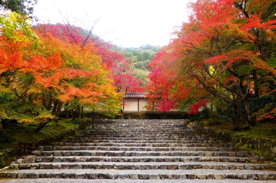 Osaka to Kyoto: Arashiyama Bamboo Grove Small Group Tour - Price and Value: What $69 Covers (and What You Still Pay For)