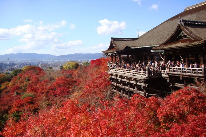 PERFECT KYOTO 1-Day Bus Tour - Key Points to Know Before You Go