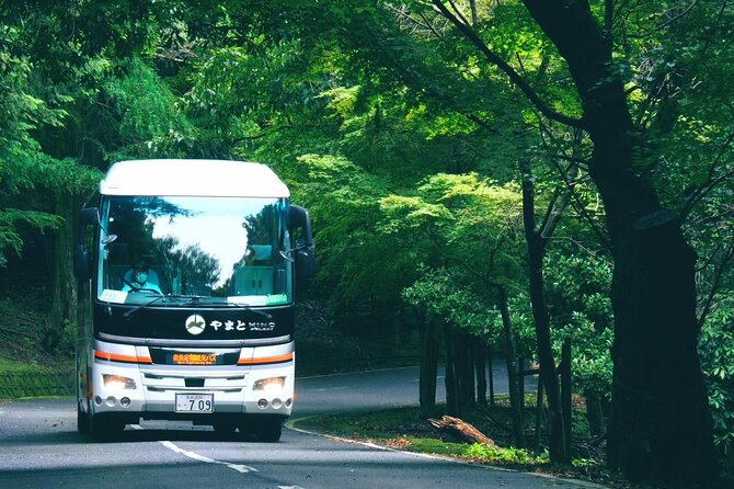 Perfect Nara Park Half-Day Bus Tour with English Speaking Guide - The Nara-Yamatoji 2-Day Pass bonus you can use right away