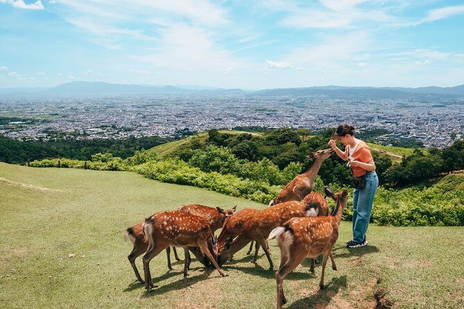 Perfect Nara Park Half-Day Bus Tour with English Speaking Guide - Kasuga Taisha Shrine: deer fortunes and a calmer kind of wonder