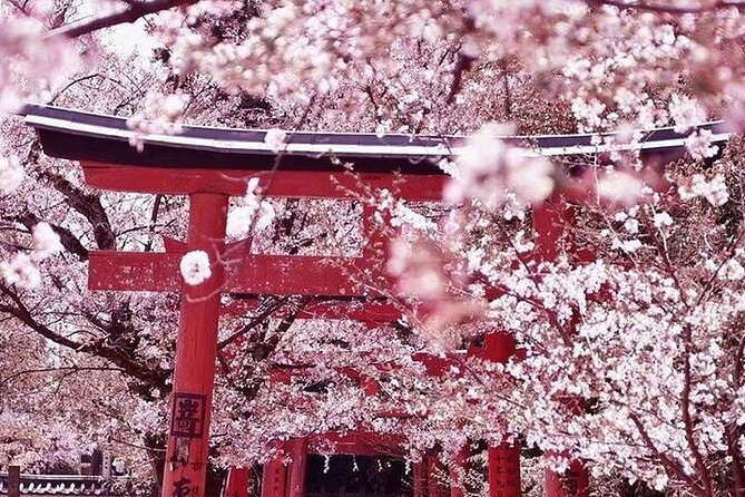 Private arrival transfer from Osaka Itami International airport to Kyoto City - Vehicle Comfort for Groups Up to Nine (Yes, Including Families)