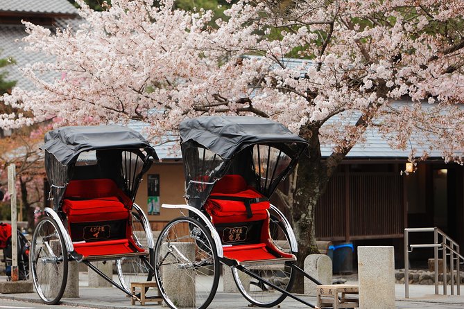 Private Custom Tour: Kyoto in One Day - Key points worth knowing before you go