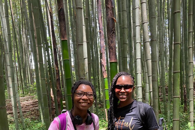 Private Custom Tour: Kyoto in One Day - Hotel pickup, transport, and how you move through Kyoto