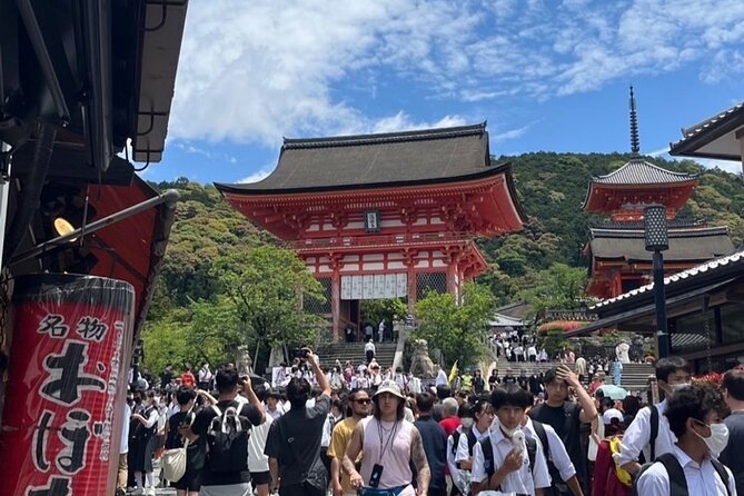 Private Custom Tour of Kiyomizu & Yasaka—by Young Local Guides - Price and value for a focused private tour
